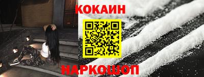 спайс Кингисепп